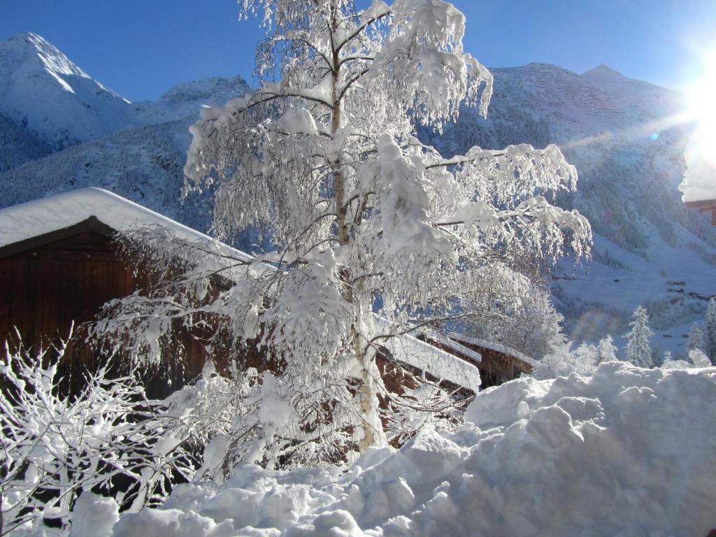 Hotel Cuntera Curaglia Екстериор снимка
